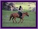 Paardrijden in Terelj
