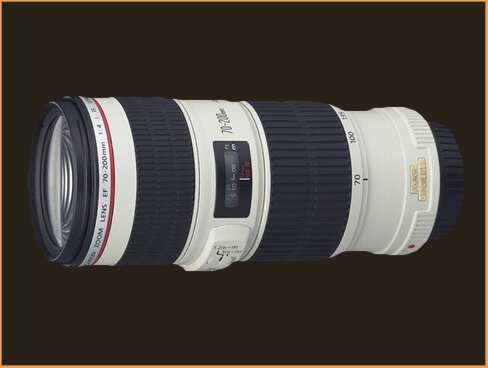 Canon 70-200mm F4.0 IS USM lens