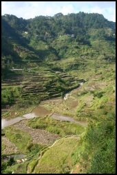 Banaue Rice Terraces