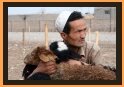 Kashgar Animal Market