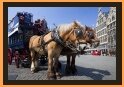 Horsetram on Grote Markt
