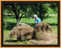 Suzdal