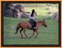 Horseriding in Terelj