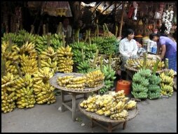 Bananas on sale at the market