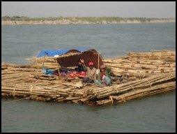 Log Transportation on the River