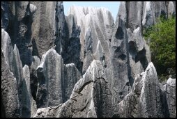 Stone Forest in Shilin