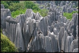 Stone Forest Shilin